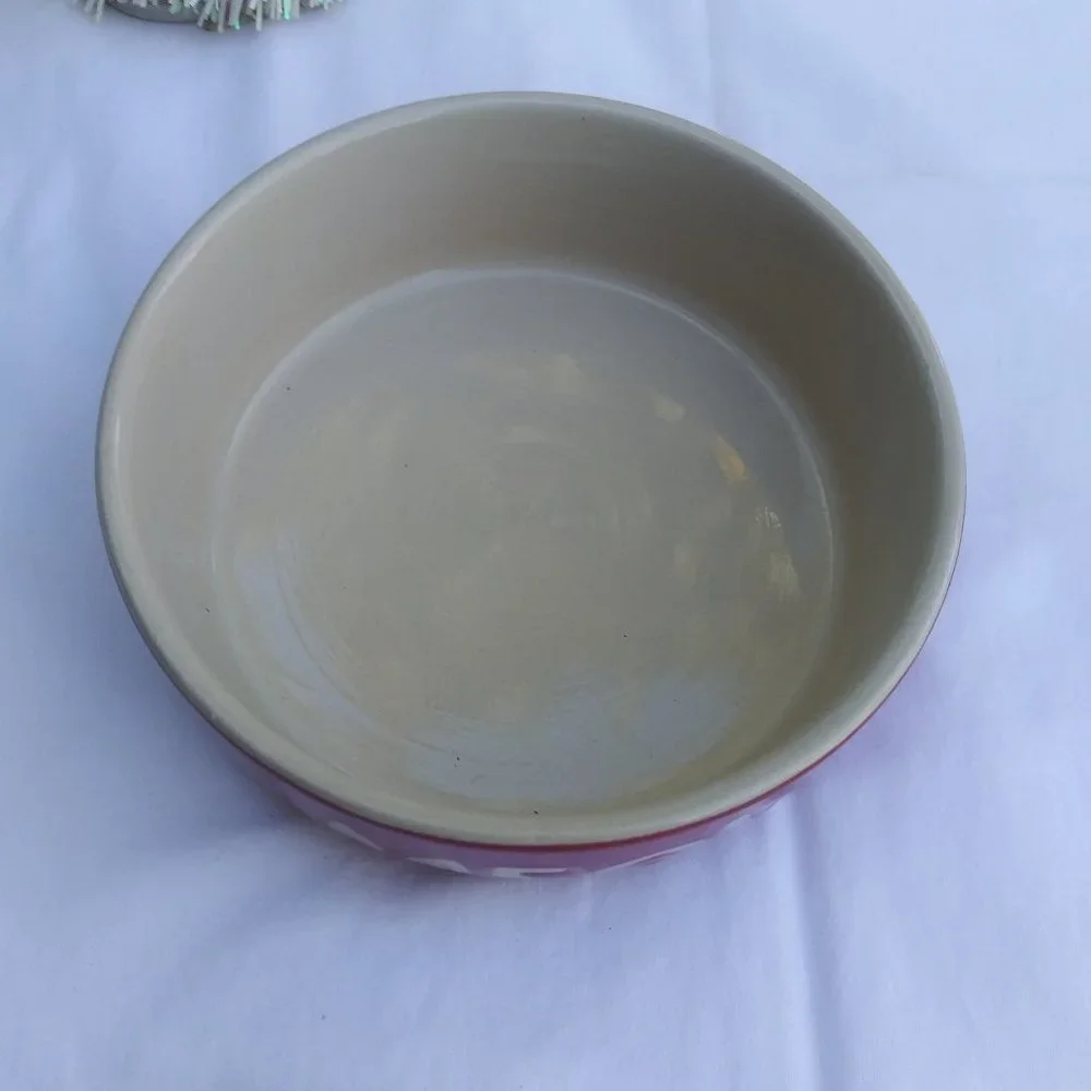 Meow Cat Bowl Pet Rageous Designs Hand Crafted Dishwasher/Microwave Safe NEW